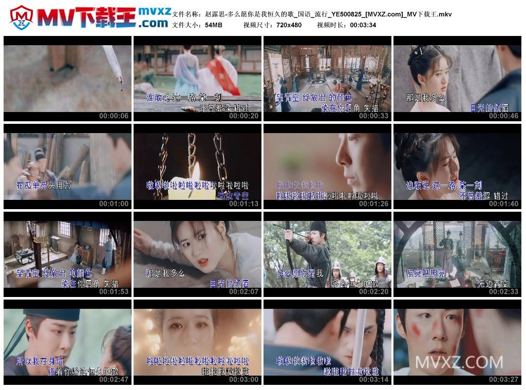 赵露思-多么愿你是我恒久的歌_国语_流行_YE500825